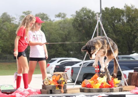 Seventh grader Kylie Woster and Halle Arlt "roast" their wolverine over a fire. The seventh graders' "Roast-the-Wolverines" was one of the winning floats at Homecoming.