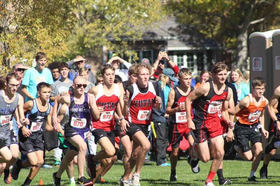 Cross country team achieves end-of-season goal