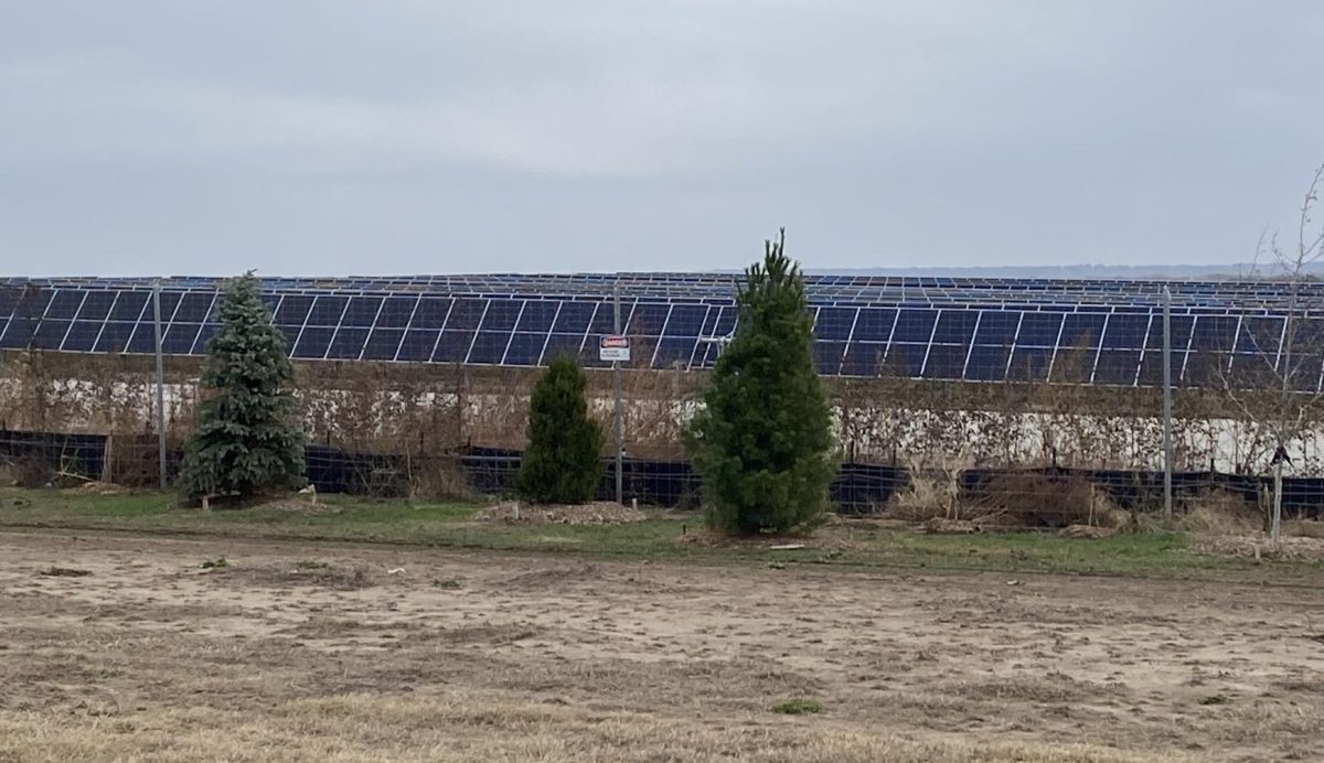 Pictured is one of the solar farm fields. The construction workers blocked off the panels with a fence and planted some trees. 
