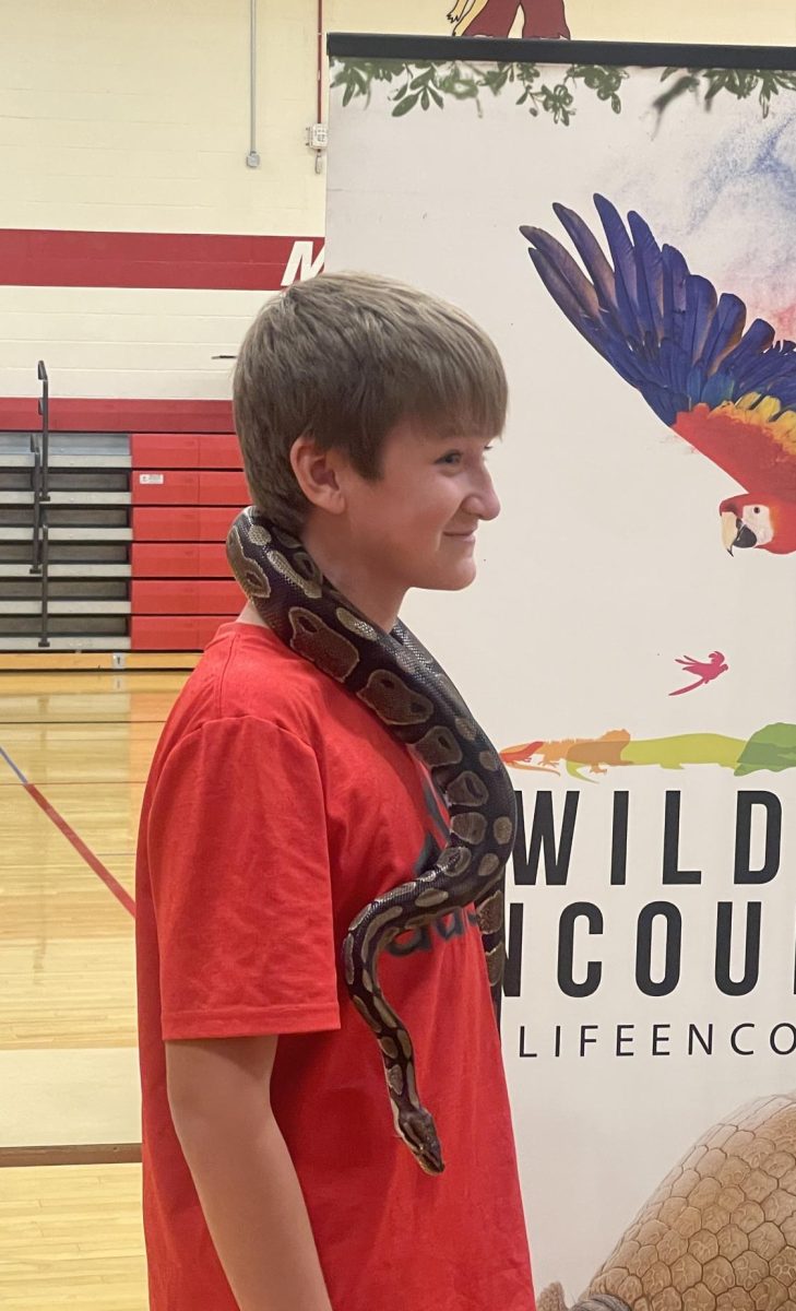 During the Wildlife Encounters, eighth grader Lucas Hoffart holds a snake. There were about 10 other schools that went to Mead.