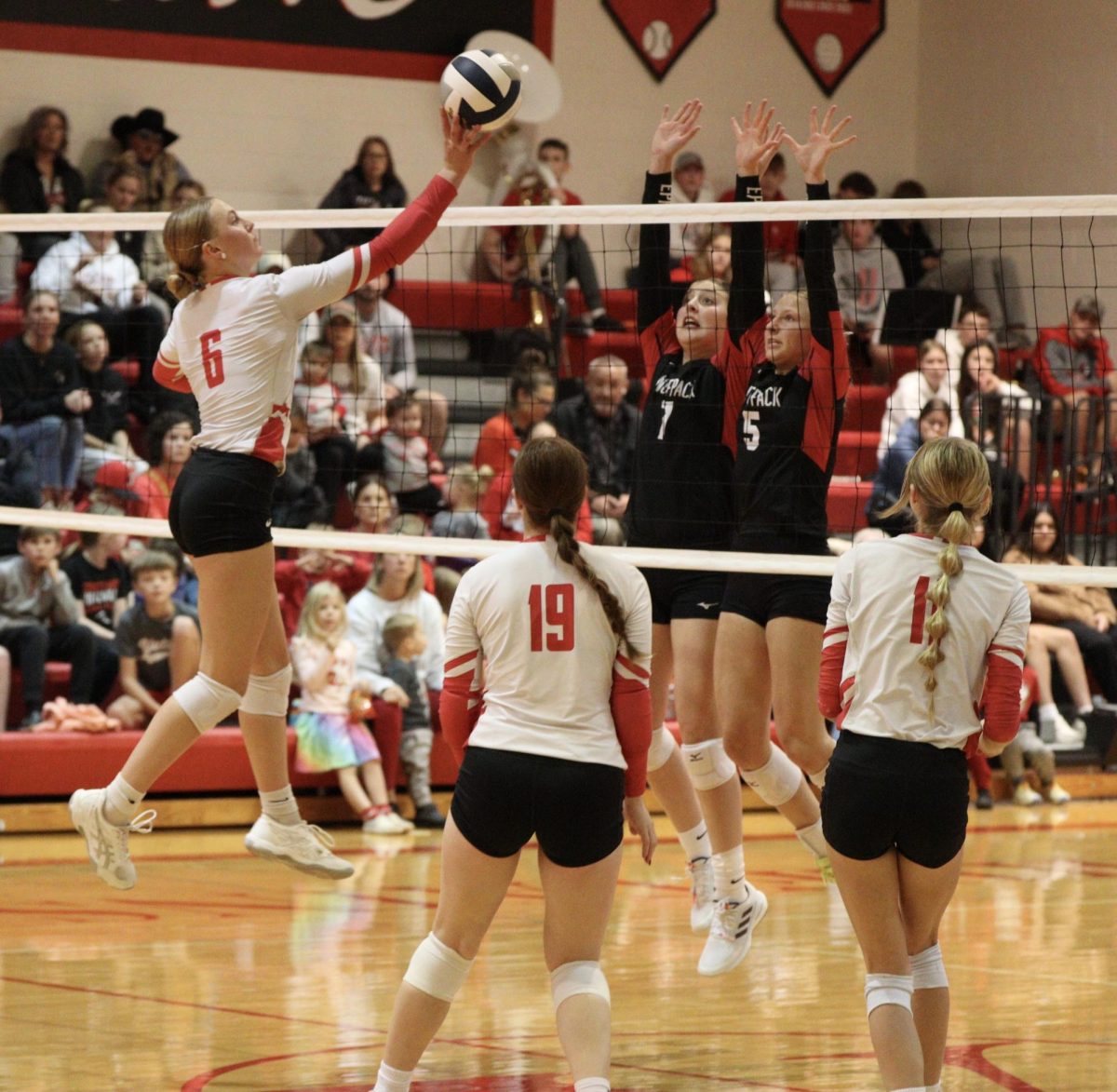 Senior Gabi Tederman tips the ball during the subdistrict final game against Elgin Public-Pope John. Tederman had a total of 272 kills this season.