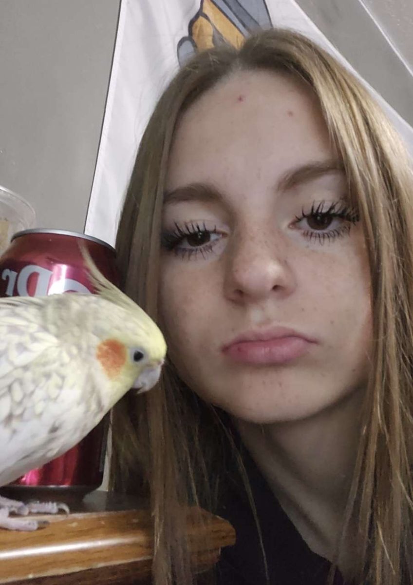 This is Mattheis posing with her bird sunny. Sunny is Mattheis's 4th bird and only cockatiel.  