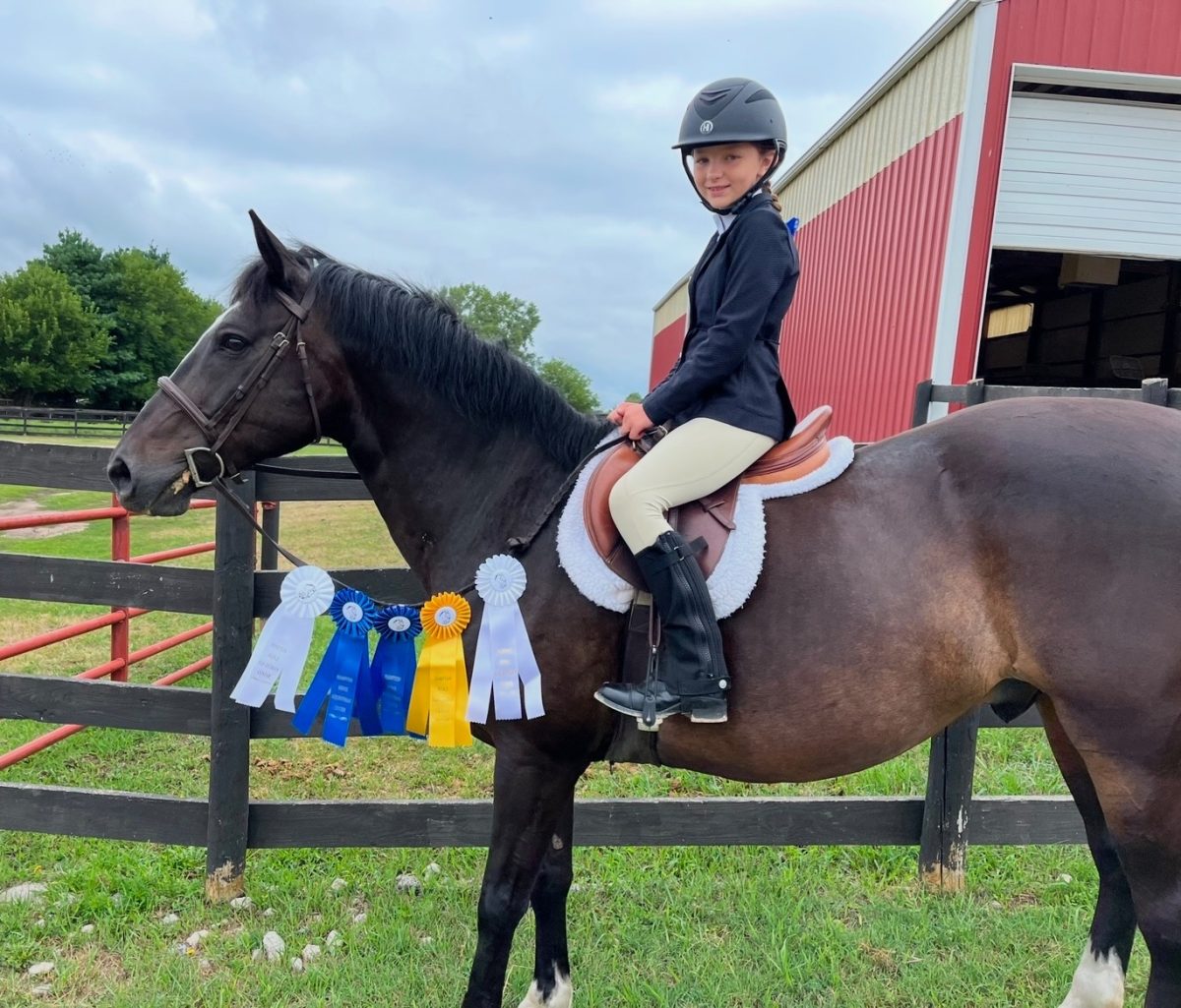 Seventh-grader Corryn Albers poses with her trainer's horse, Peaches. Albers and Peaches competed at the Hampton Show and won awards in flat classes.