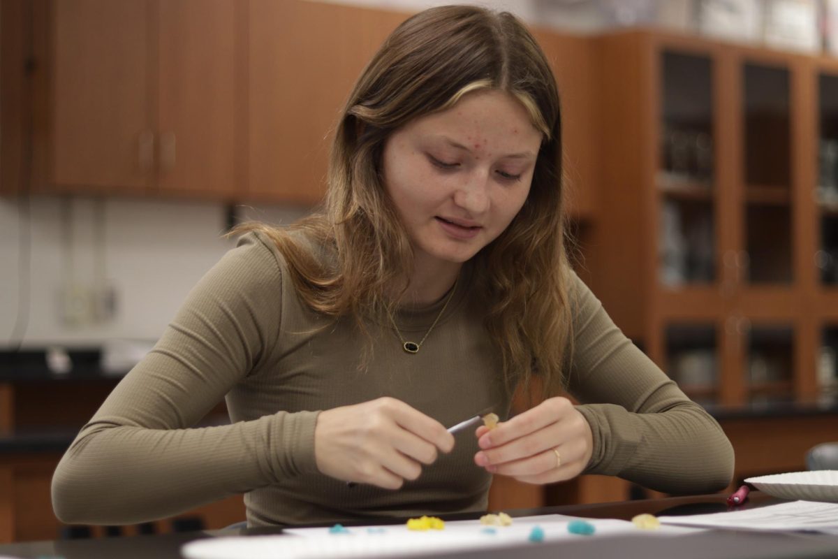 Junior Addy Darling dissects a gummy bear in anatomy class. During this class, they used a pair scissors to place a bead in the gummy bear. 